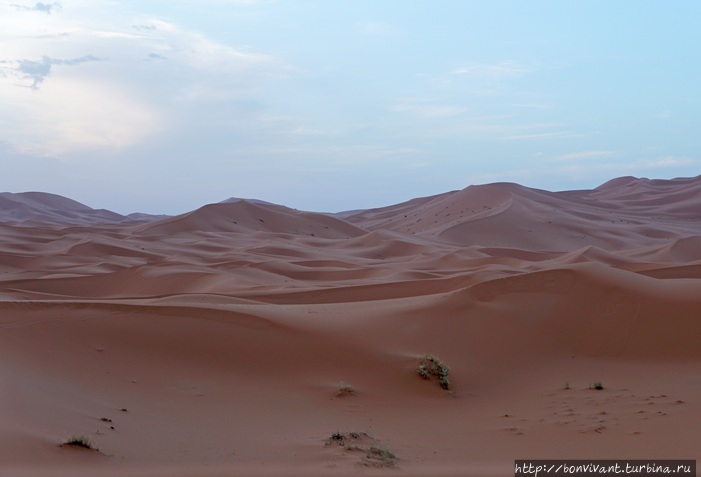Сахара Марокко