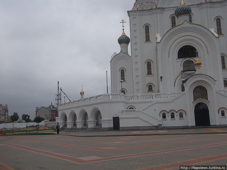 Cathedral of Our Lady of Vladimir Лиски, Россия