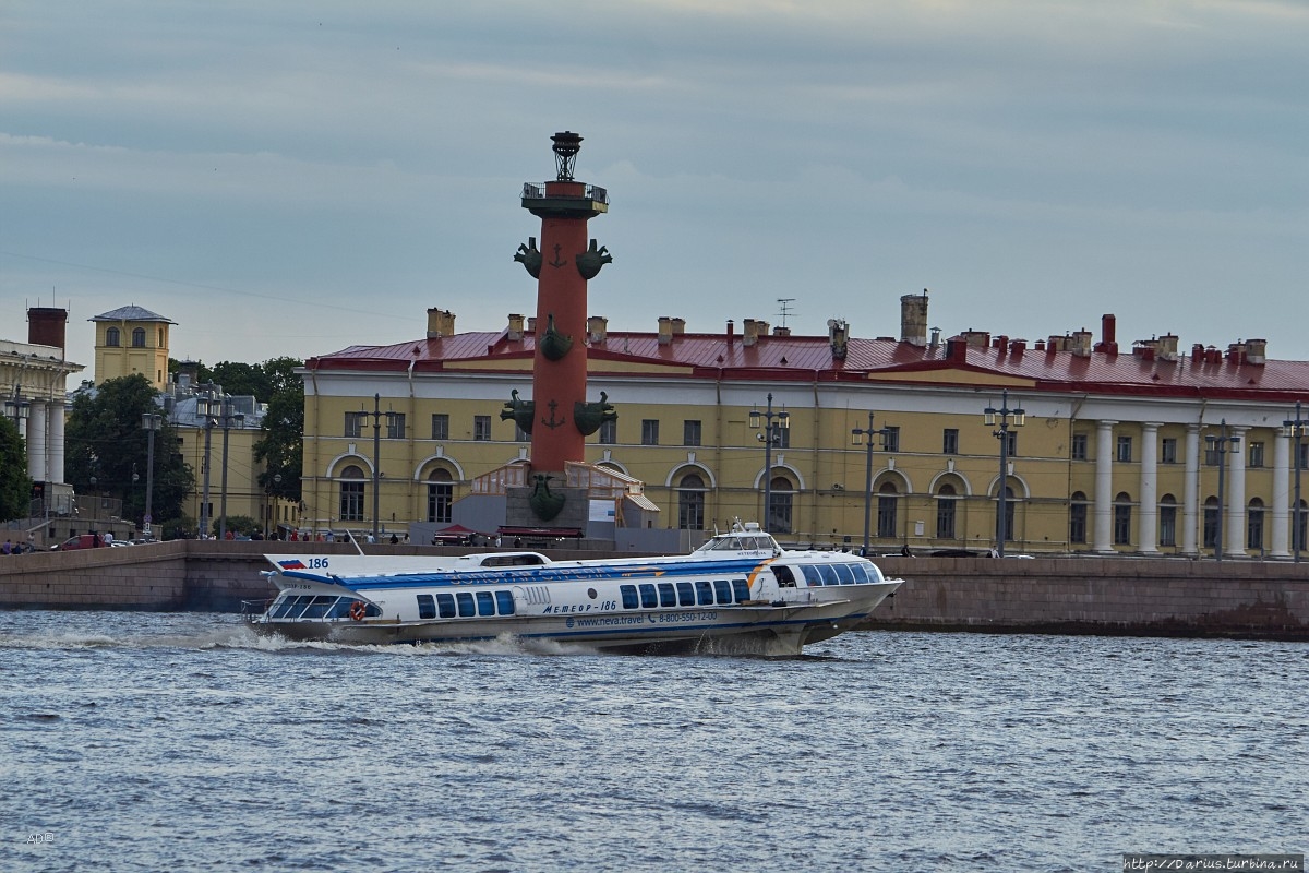 Санкт-Петербург 2019-06-13 Санкт-Петербург, Россия