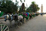 Marrakech