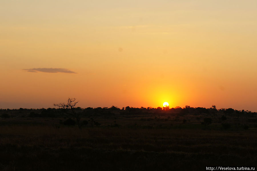 Танзания. Продолжение Танзания