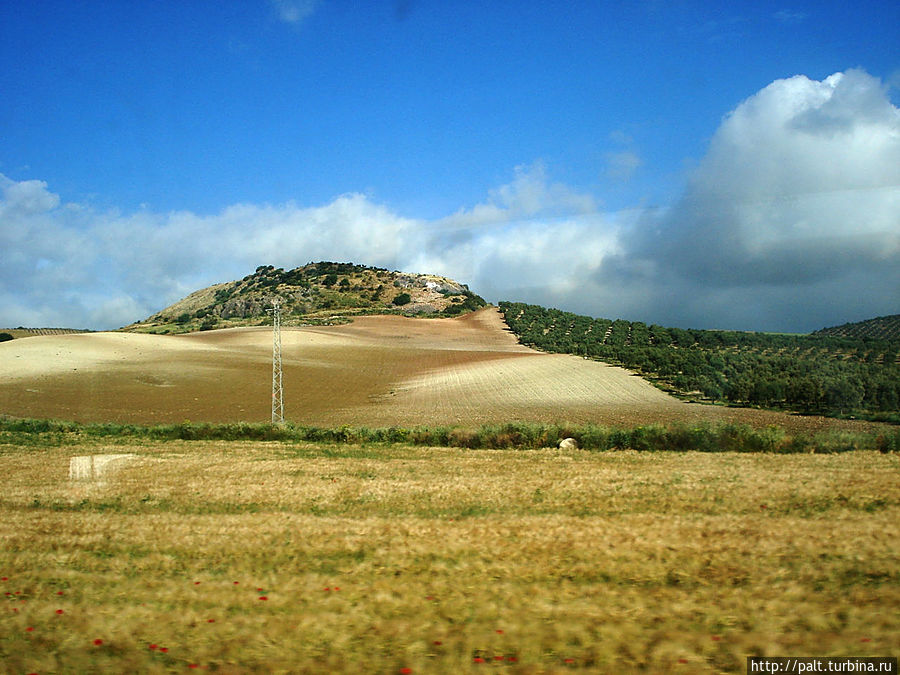 Дорога в Ронду Андалусия, Испания