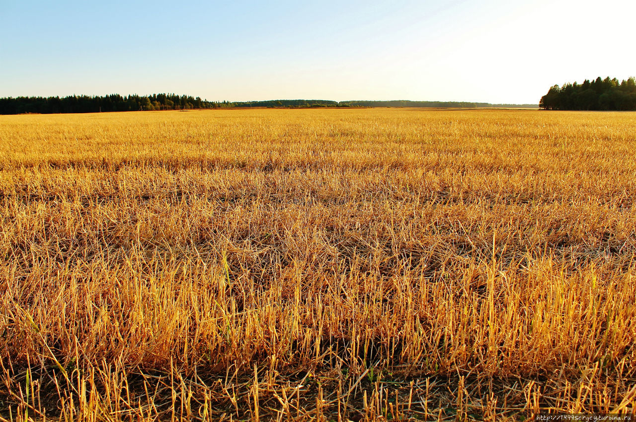 Воспоминания #3 Санкт-Петербург и Ленинградская область, Россия