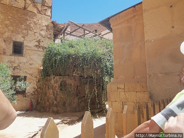 Дальше этой калиточки к кусту Неопалимой Купины нас не пустили.