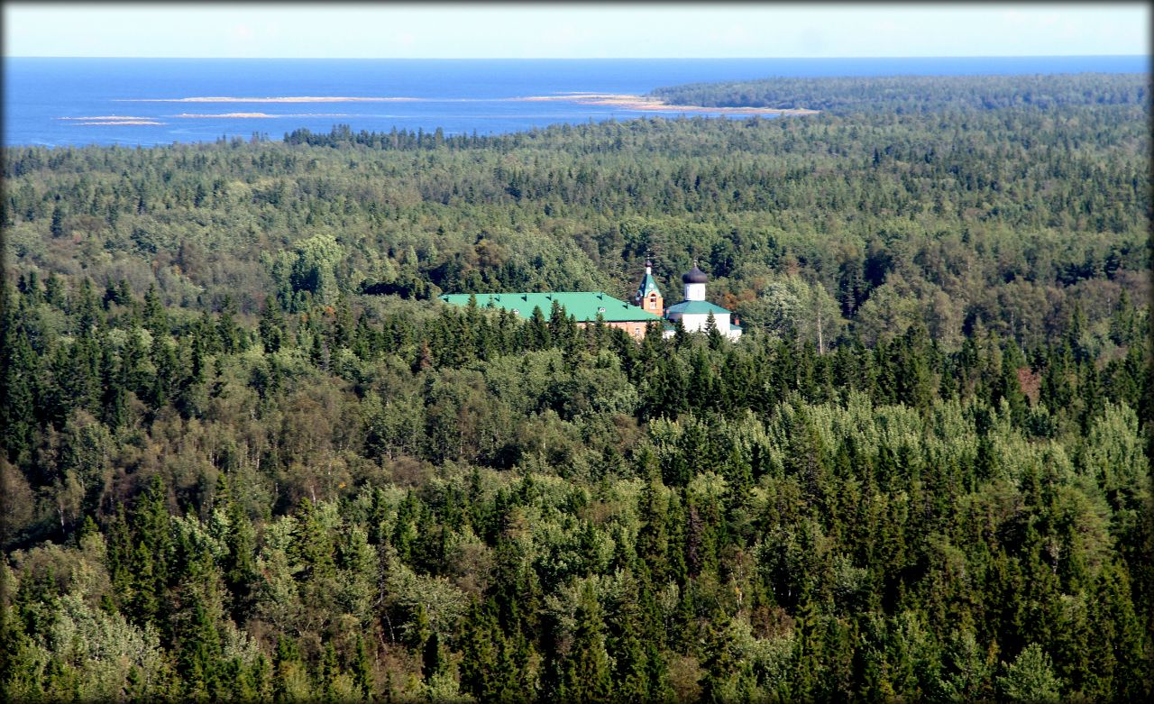 Соловецкое костромская. Секирная гора отдых. Цветение русского севера.