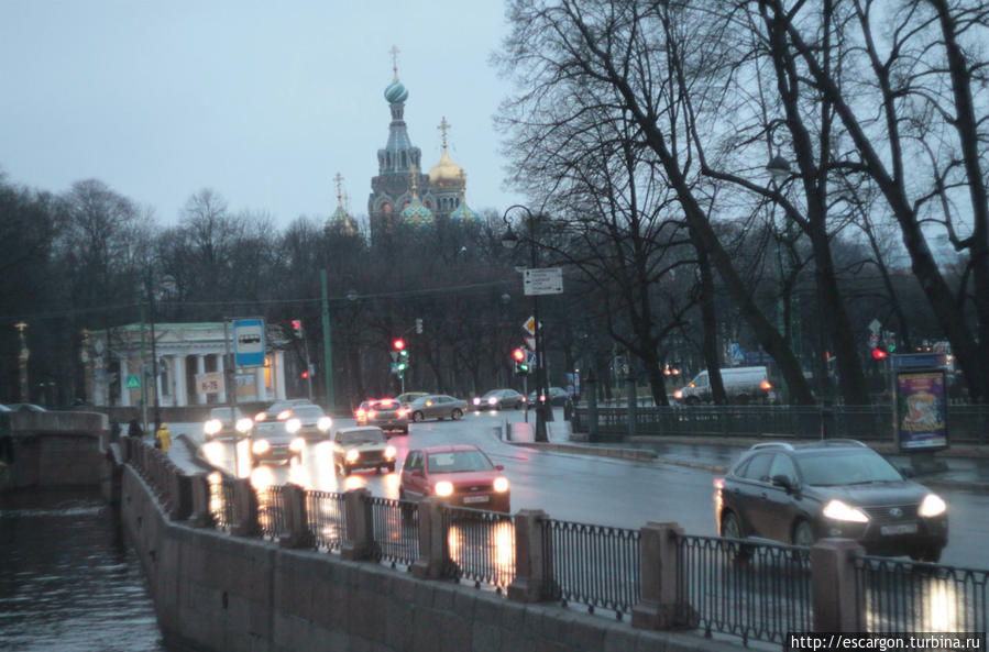 Утренний Петербург: три стадии знакомства Санкт-Петербург, Россия