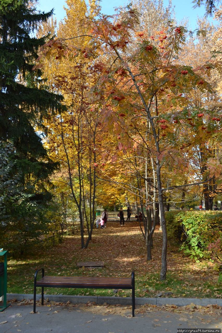 Городской парк культуры и отдыха 