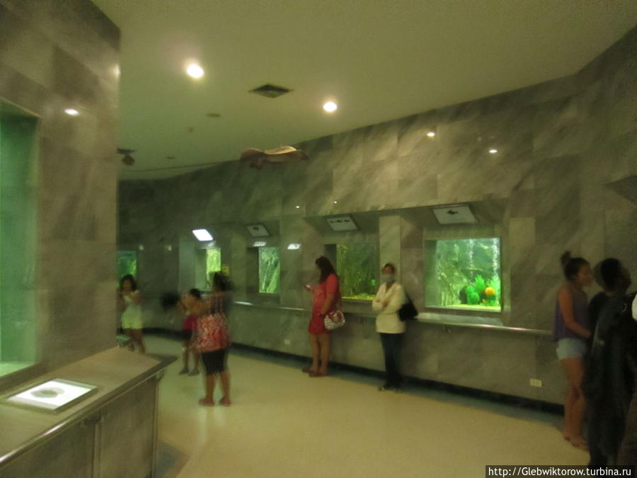Aquarium Рой-Ет, Таиланд