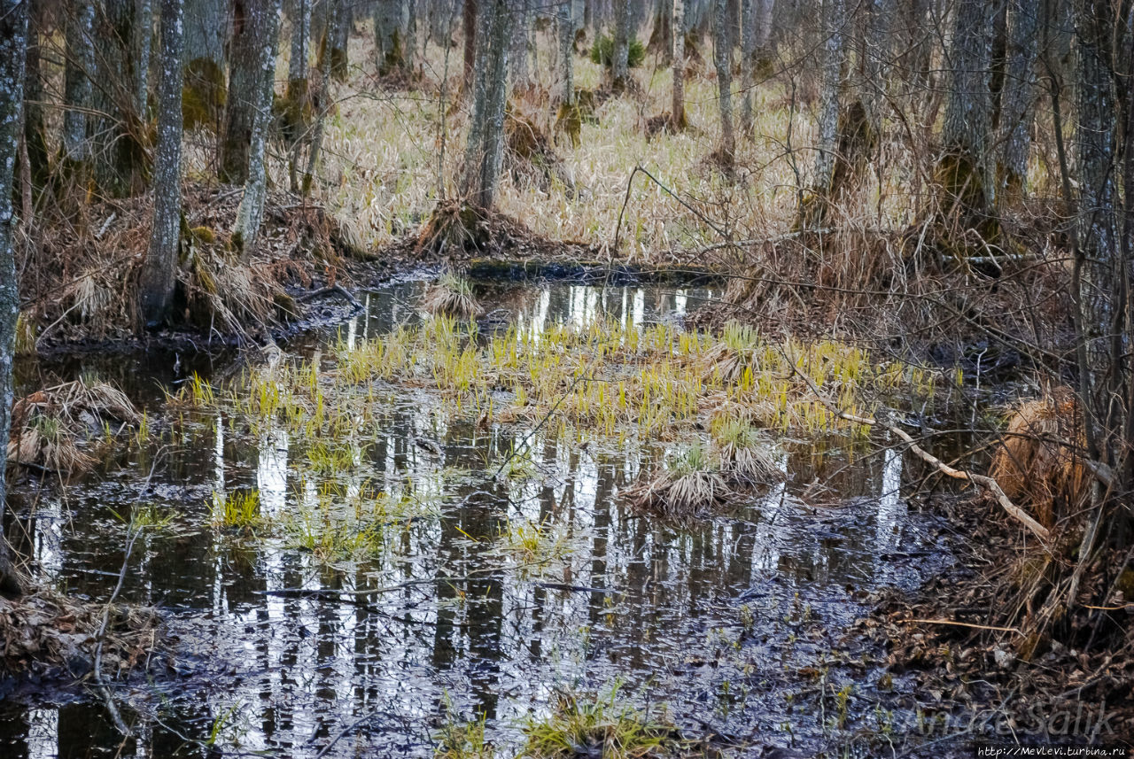 Озеро Слокас Кемери, Латвия