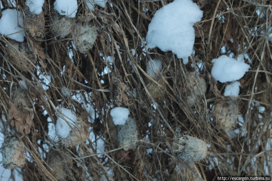 Куда скататься зимой из Минска или игры с фотоаппаратами Минск и область, Беларусь