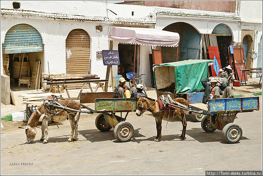 Повозки, запряженные ослами, — самый распространенный транспорт этой части страны...
*