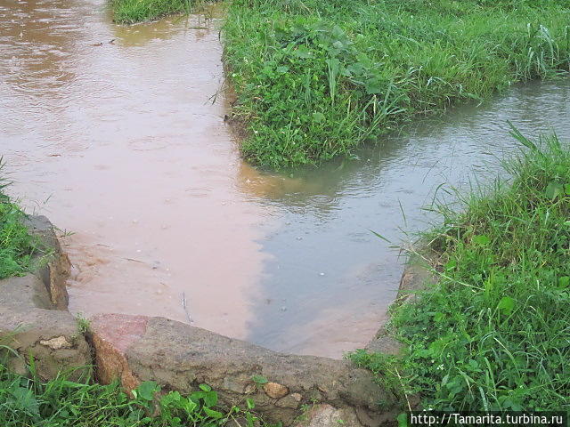 Шокирующая Африка. Наводнение на озере Виктория Энтеббе, Уганда
