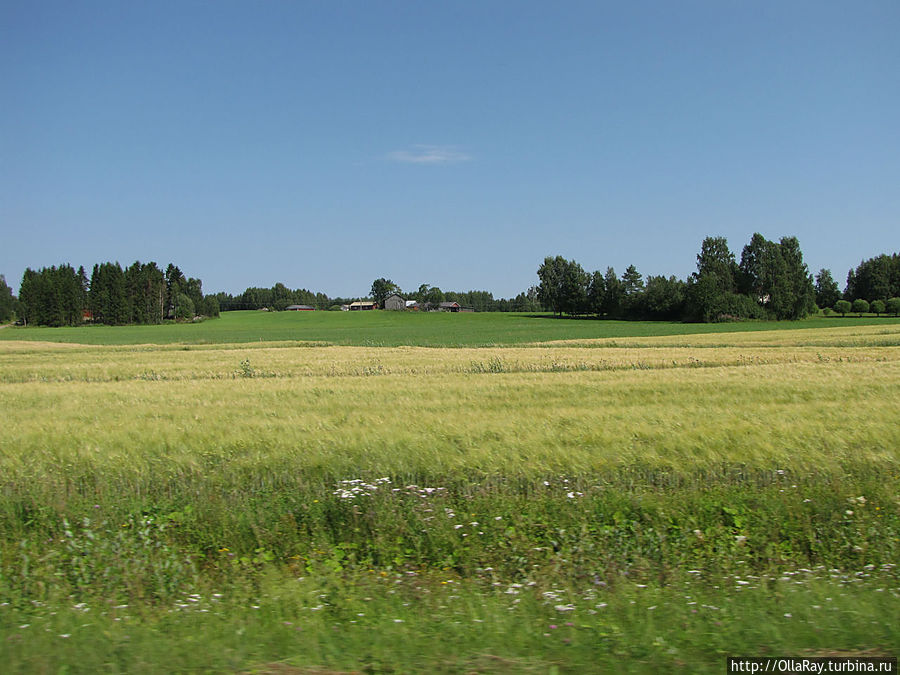 На подъезде к городу за окном проплывали замечательные сельские пейзажи. Савонлинна, Финляндия