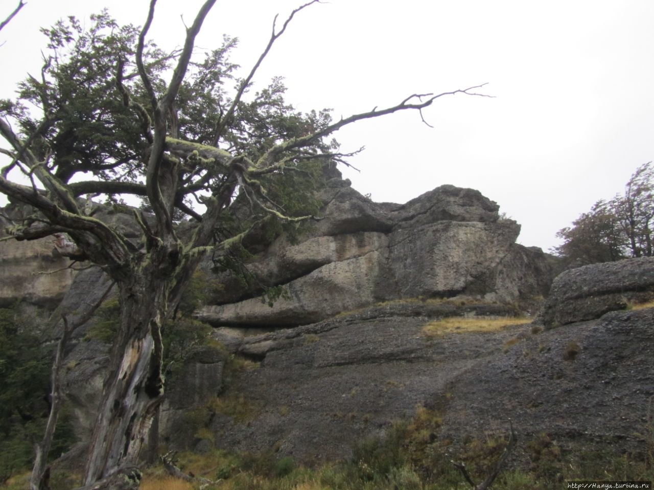Пещера Милодон Пещера Милодон Природный Монумент, Чили