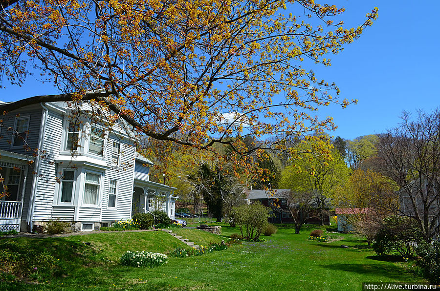 Долгожданная красавица Ли, CША