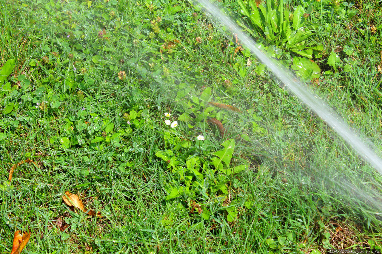 Лето: постскриптум. География в фонтанах-2.