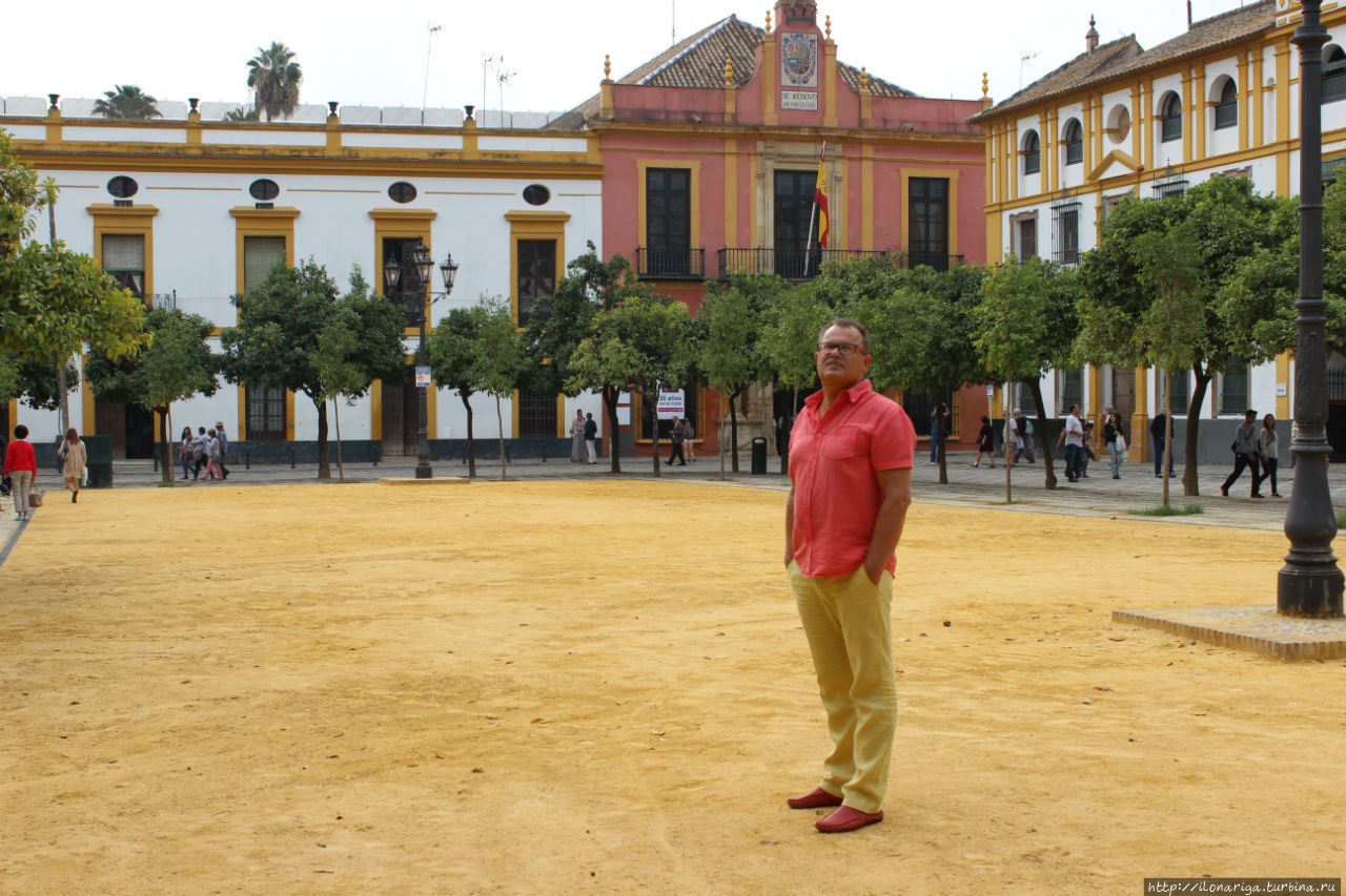Тот случай, когда все цвета совпали:)