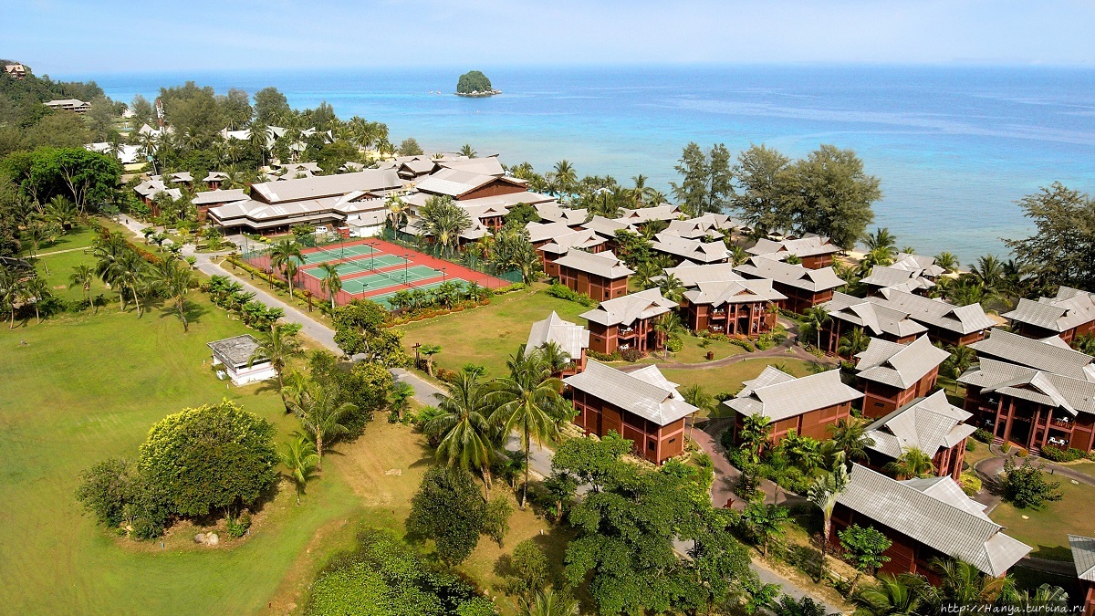 Фото из интернета