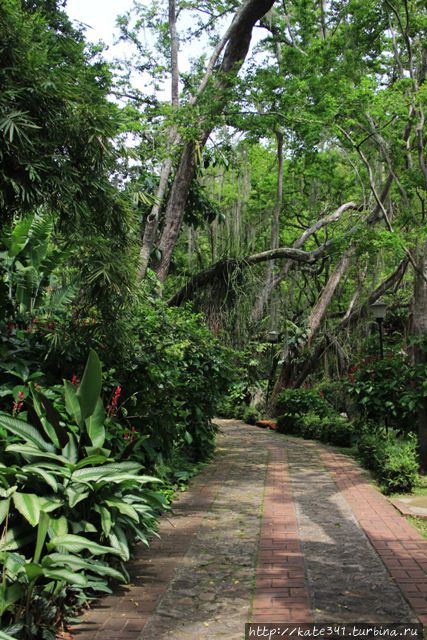 День Рождения в ботаническом саду Букараманга, Колумбия