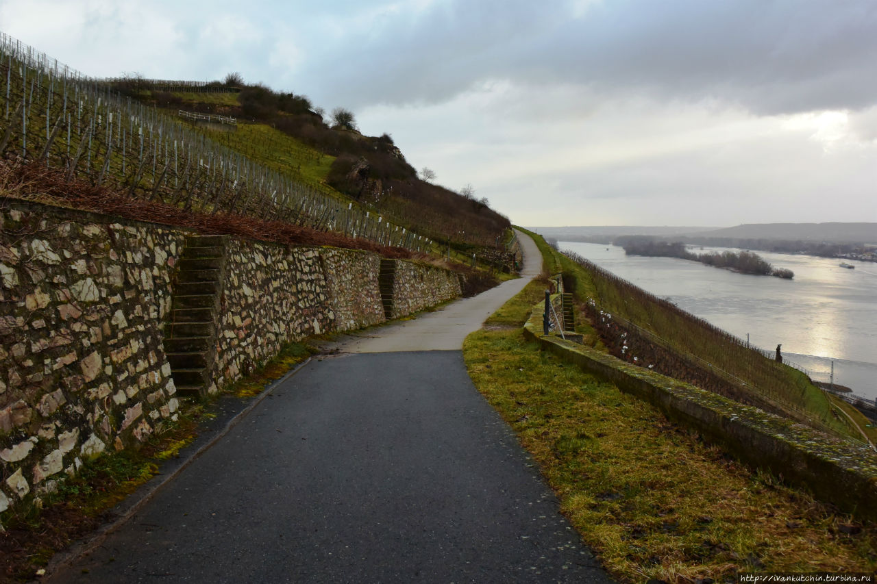 А что это такое?