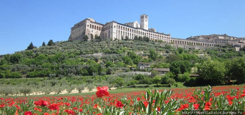 Пешеходный маршрут в историческом  центре Assisi Ассизи, Италия