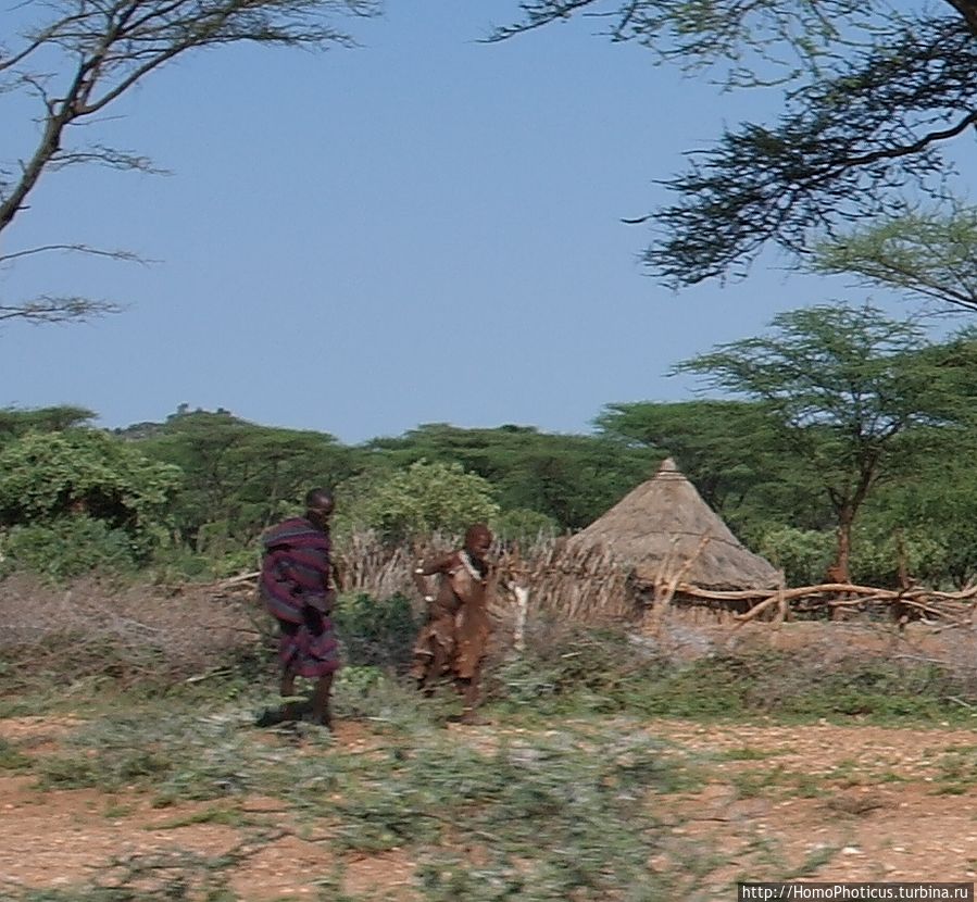 Этнография долины Омо: типажи хамеров Турми, Эфиопия