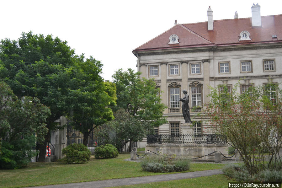Музей истории медицины Йозефинум Вена, Австрия