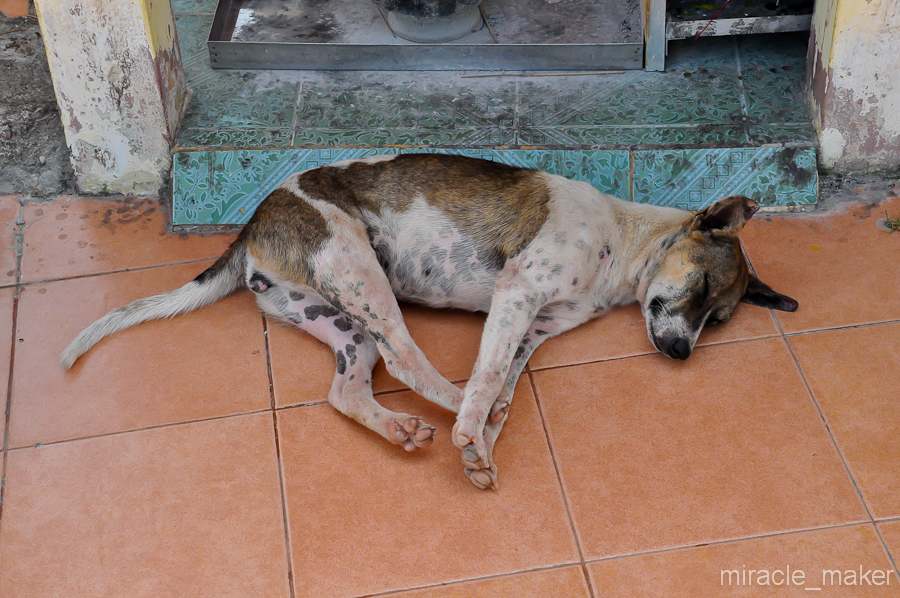 Был, конечно же, еще один охранник, но вот только он не выглядел таким грозным, как предыдущие. То ли устал после подъема на рабочее место, а то ли просто халатно относился к своим обязанностям.