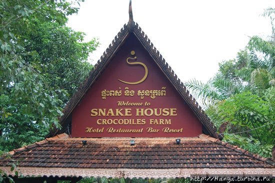 Ресторан Snake House Сиануквиль, Камбоджа
