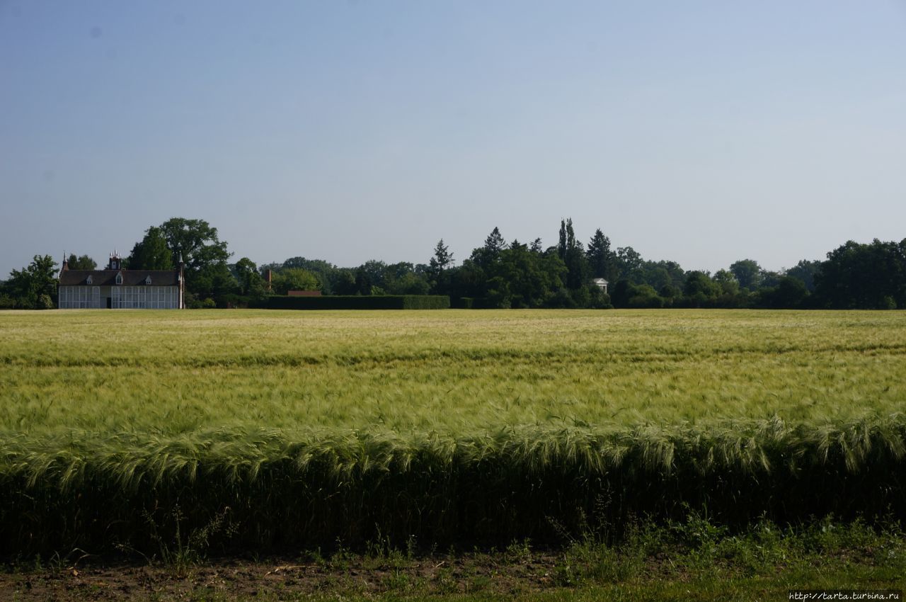 Вёрлицкий парк Вёрлиц, Германия