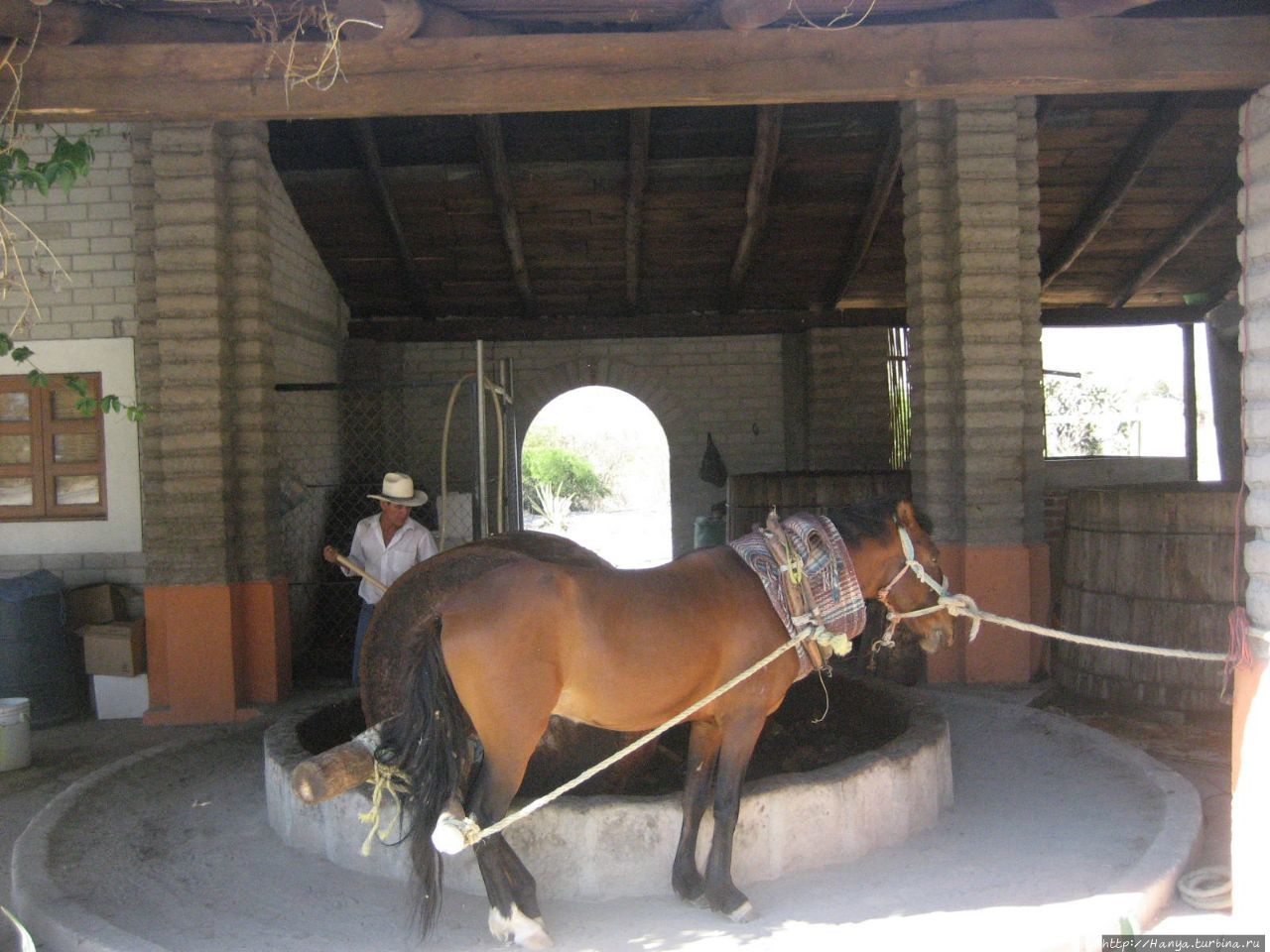 Фабрика Мескаля Дон Лусио Оахака, Мексика