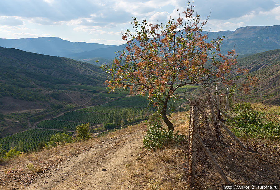 Как я провел этот год Кировская область, Россия
