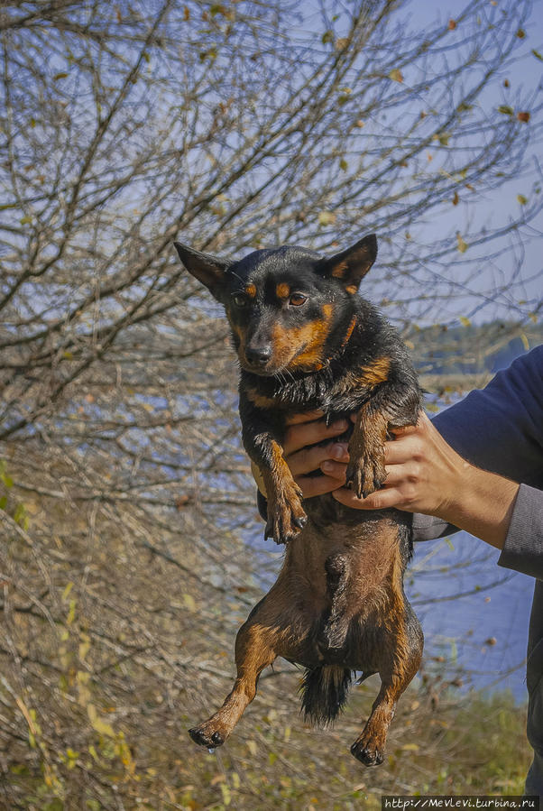 Озеро Слокас Кемери, Латвия
