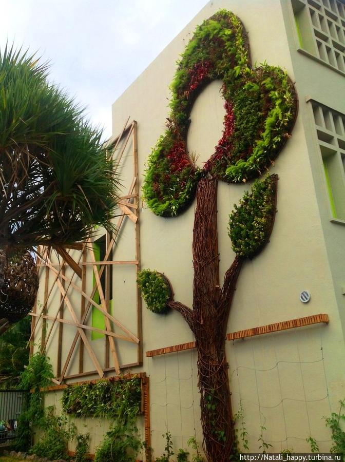 Ущелье ля Ривьера Сен-Дени, Реюньон