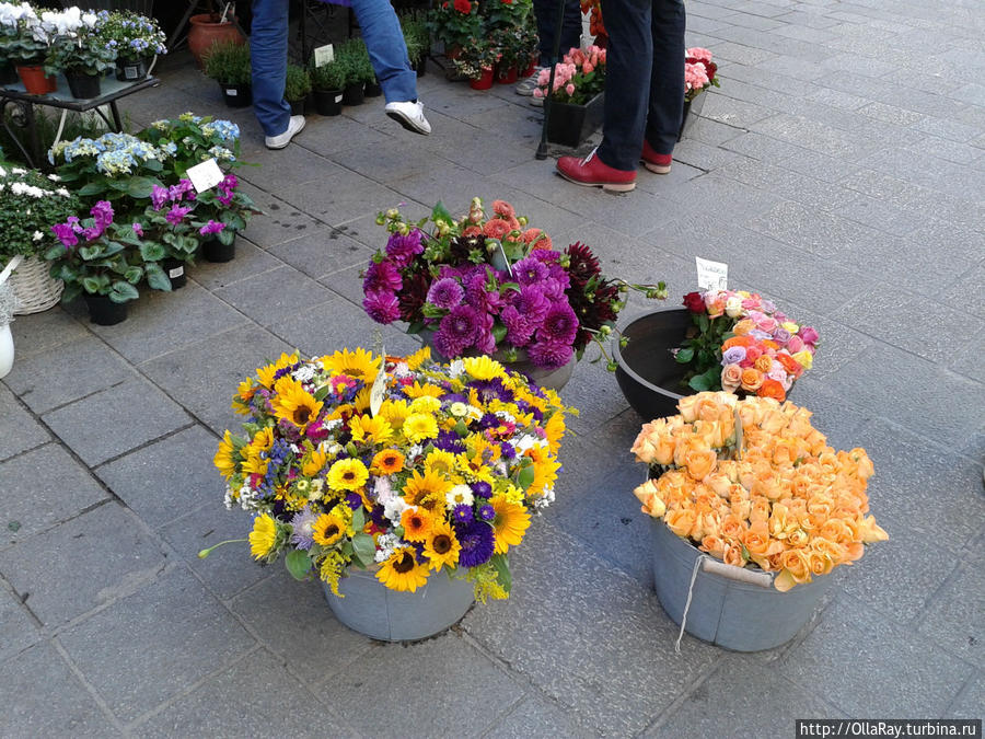 Blumenhaus zum Dom Вена, Австрия