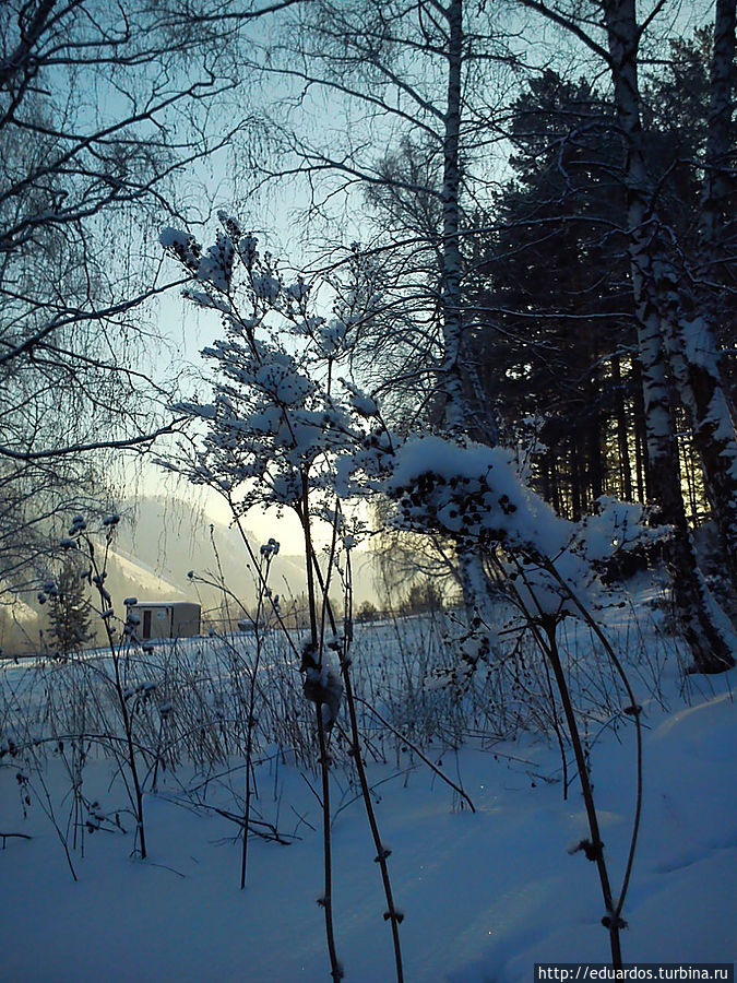 С наступившим вас 2013 !!!