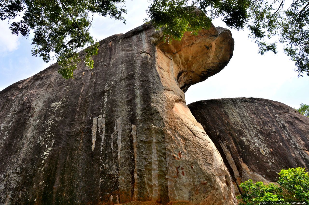 Скала слон Шри Ланка