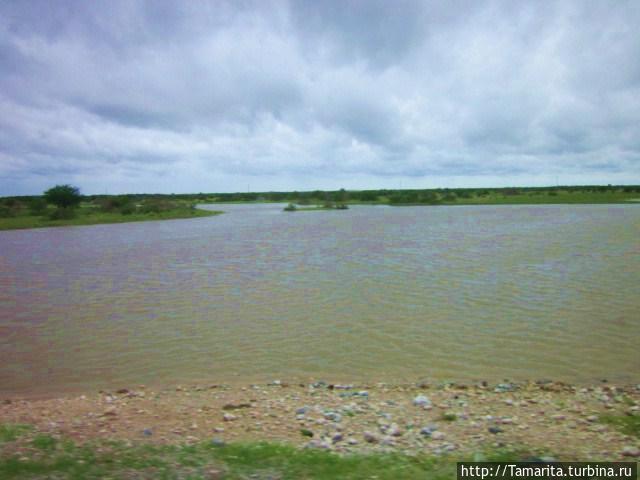 Остров воды в море песка. Окаванго Маун, Ботсвана