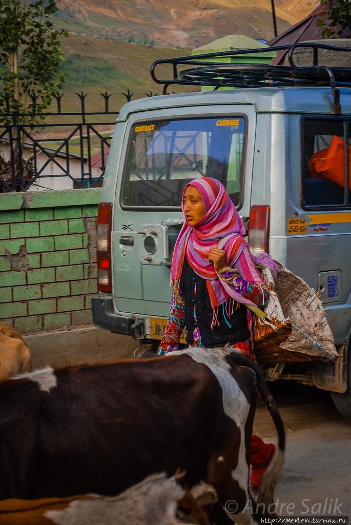 Индийская деревня Индия