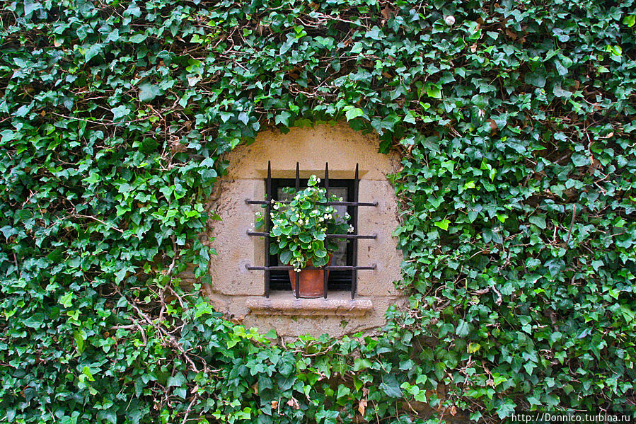 Я конечно не мог пройти мимо этого парадоксального окна. Стоило ли вырезать этот красивый круг, чтобы наглухо закрыть потом окно цветком? но видимо смысл окна совсем не в том чтобы смотреть через него на улицу или чтобы в помещение проникал свет...