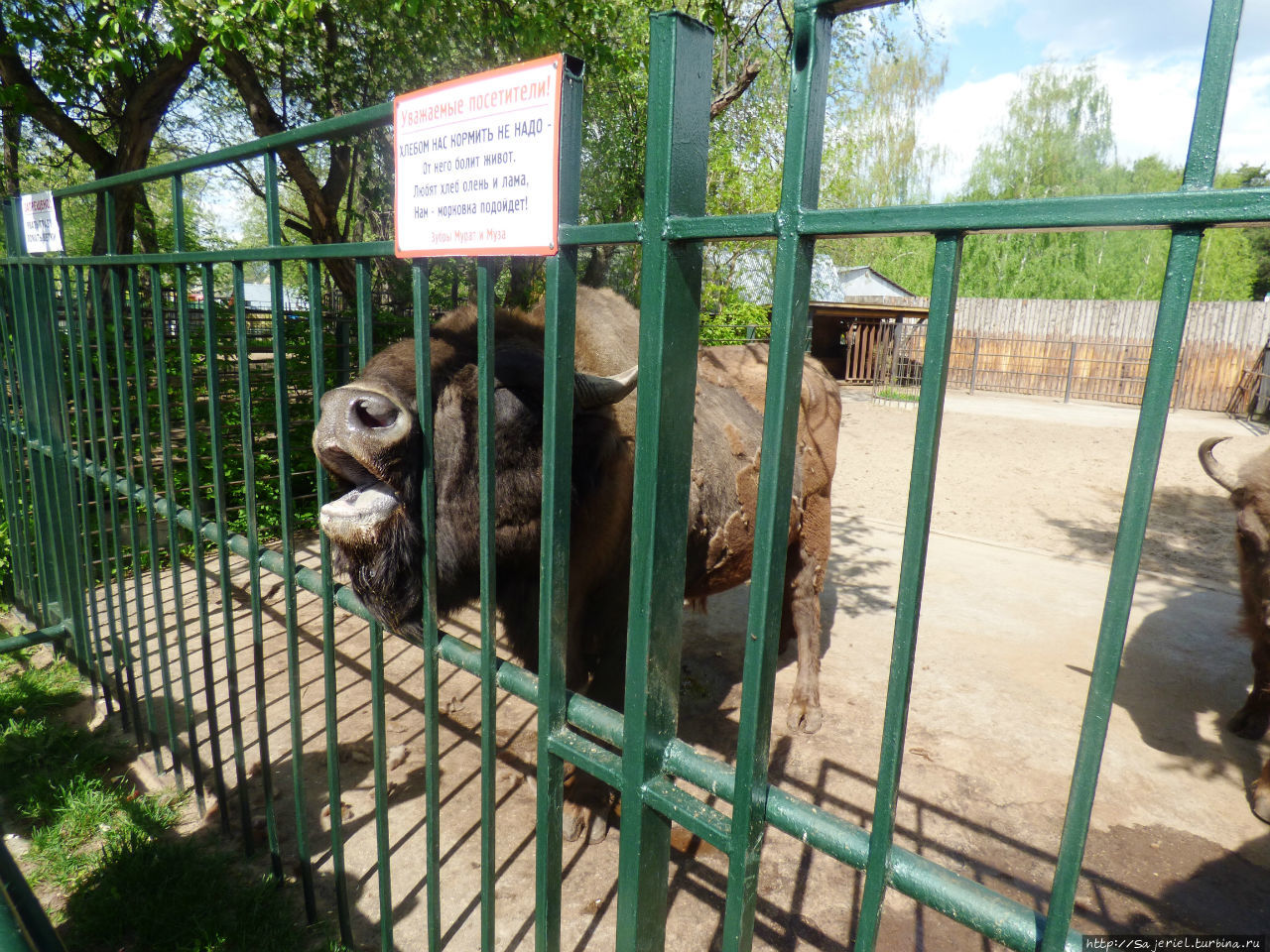 зоопарк в винзилях