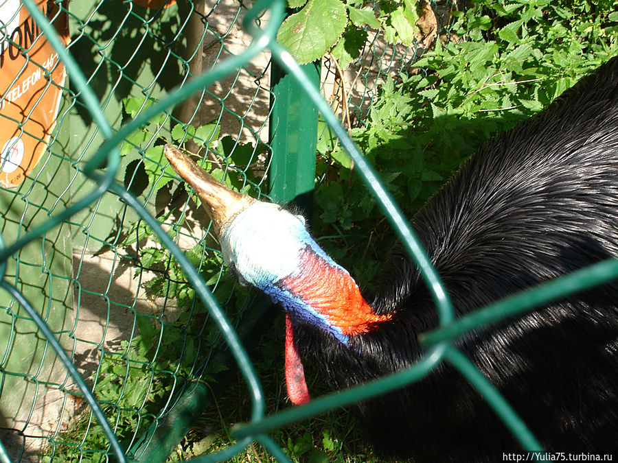Зоопарк Шёнбрунн Вена, Австрия
