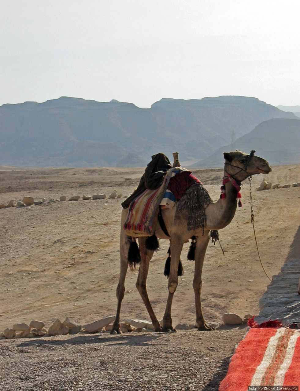 Цветной каньон Цветной Каньон (Синай), Египет
