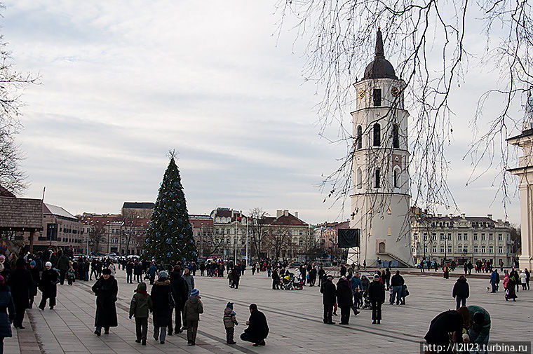 Главная елка города и Колокольня на Кафедральной площади Вильнюс, Литва