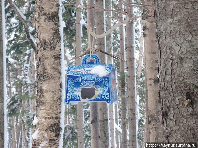 Современная кормушка.
