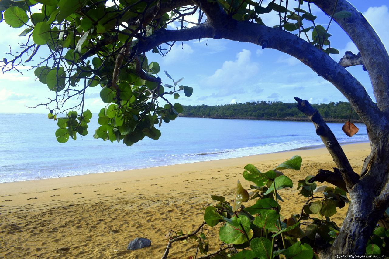 Остров очарования Остров Пуэрто-Рико (главный остров архипелага), Пуэрто-Рико