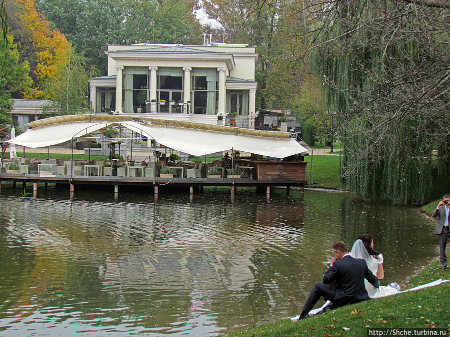 Swan lake парк горького. Лебединое озеро парк Горького. Парк Горького Лебединое озеро бар. Ресторан Лебединое озеро в парке Горького. Лебединое озеро кафе в парке Горького.