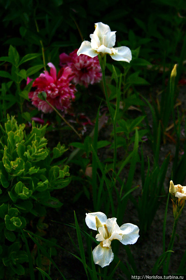 Поздравляю