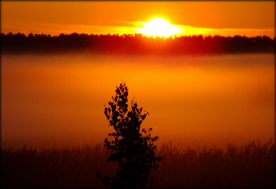 Моя патриотическая осень Россия