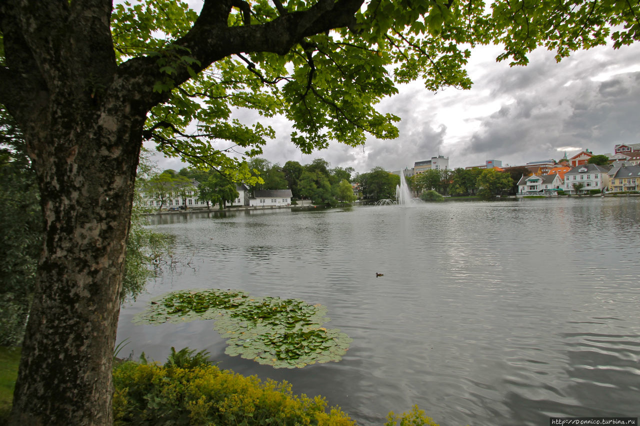 Озеро и парк Брейяватнет Ставангер, Норвегия